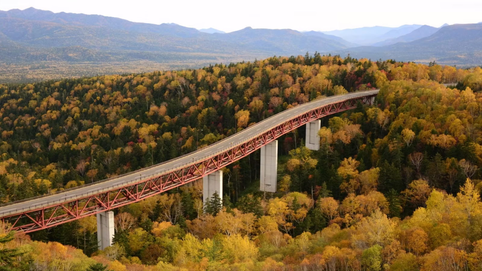 Majestic nature and autumn leaves in Japan